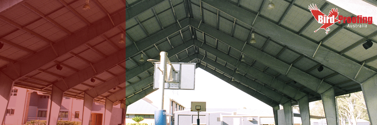 Undercover Learning Area