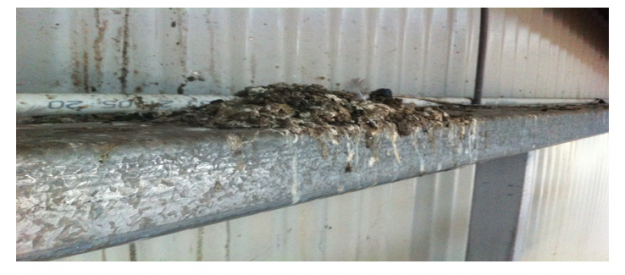 Bird Proof Netting for School Undercover Play - Cleveland, QLD